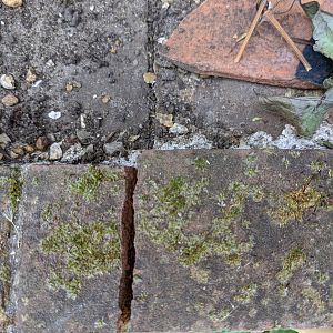 Garden_retaining_wall_top