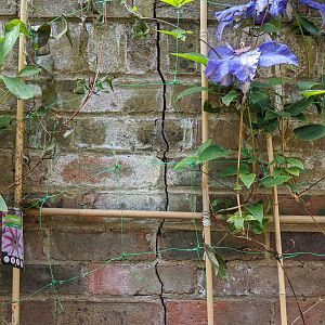 Garden_retaining_wall_crack_front