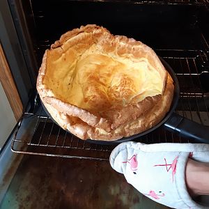 15903364437951325979566