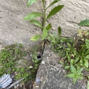 3DB746B7-6C09-4FB5-8A45-210E85D1E27F