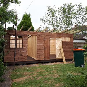 shed walls up