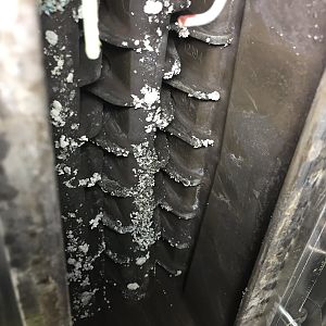 B5565C9D-3409-4137-8C59-822B7AE065D7