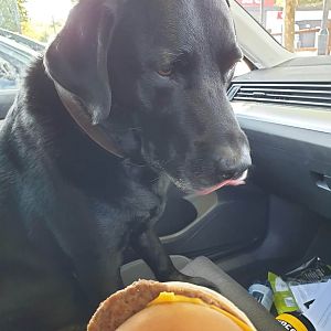 FB_IMG_1595191652204