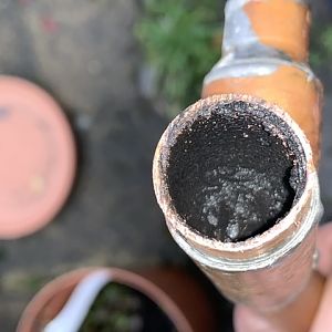 D791046B-10F8-4E21-8D7B-449D561C5C74