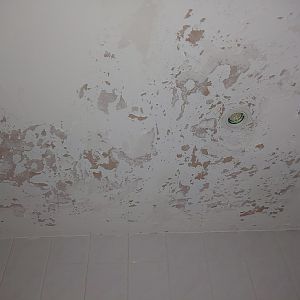 20200723_01BathroomPreScrape