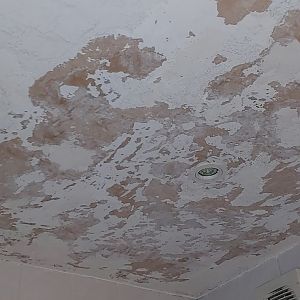 20200723_02BathroomMidScrape