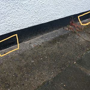 IMAG7442_compress57_1