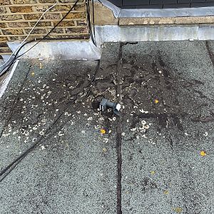 E0DEBEC6-488D-4E1A-9430-F38DFF1A9BF7