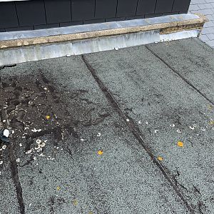 7D195338-564F-4DB0-B831-92E5BD1360B5