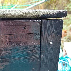 IMG_20201002_171702258_HDR