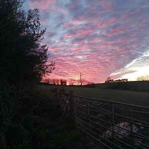 IMG_20201126_162713_resized_20201126_060306530 (1)