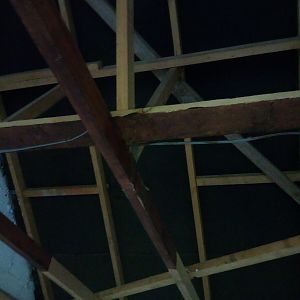 IMG_20201205_113118_8