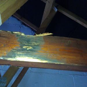 IMG_20201205_113141_9