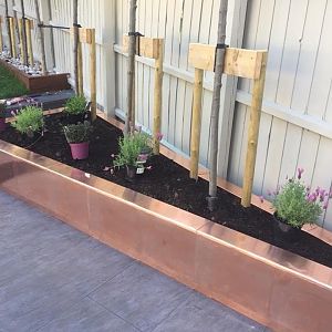 EDE9C09E-69C3-4AA7-89DA-5B5DECA12354