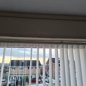 16083902014332458244631681684733