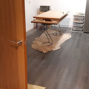 1610213813523113328661