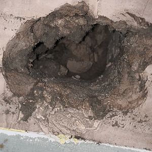 483A799A-86F9-4DEA-ABBA-23ACD106D0DB