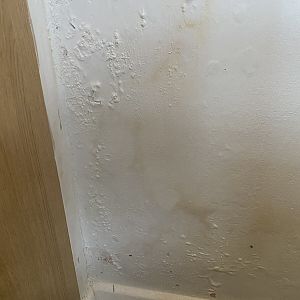 D81DE33F-C265-45D8-8490-26601DA7FA04