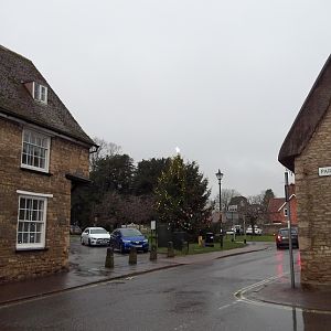 Tree On Green 27-12-2020