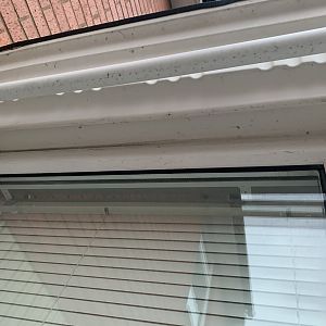 525A6051-33C8-43F0-ABA8-19B6CB3EA3E2