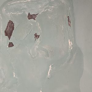 PXL_20210121_184146407