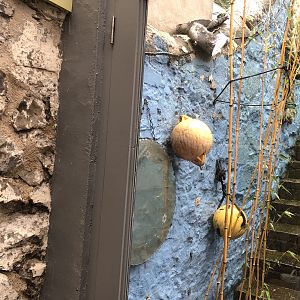 A2A5D528-1817-451E-82A4-5F2B33E9F898