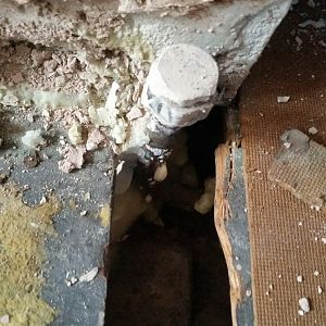 20210211_103805_resized