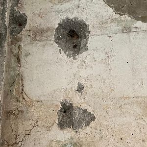 EF2F964C-37B5-4A88-9BA2-20E65BDDE5C3