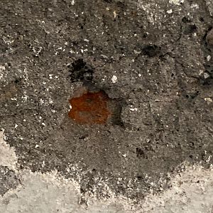 B72B6D0F-BD6D-4CDE-BCA4-E10ABF5786A4