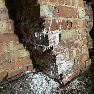 2396DEE2-2D75-4444-BF81-0AA71E0275A6