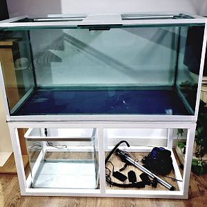 166861061_2879908348934250_3494799735923907603_n