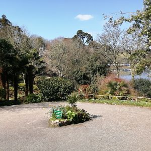 IMG_20210404_132126_resized_20210404_034149184