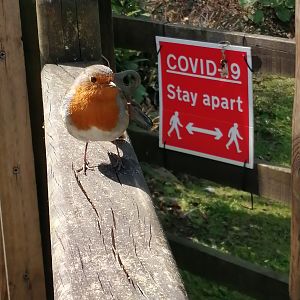 IMG_20210404_133135_resized_20210404_034109068