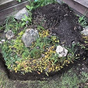 CD5C242D-8079-4CD2-821D-0D4DEE0700EC