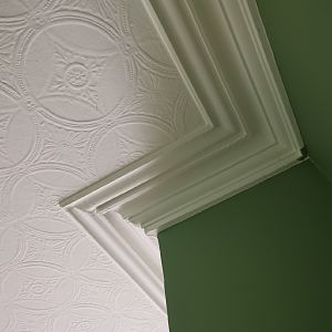 Rear room cornice