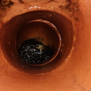 Screenshot_20210529-161559_Gallery