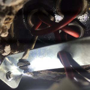 Conduit feeding ceiling rose