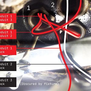 Labelled conduit wires