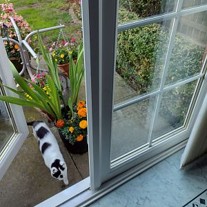 Patio Door Partially Open