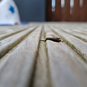 16259976962678897938843147042144