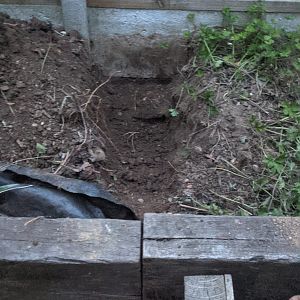 43059672-5e1e-4195-a6b7-7874f5d2d5ff