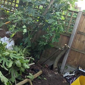 B5699d2d-5b8c-459b-ac83-4c9979e094b6