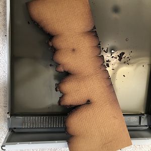 A601D365-5057-4178-B6F4-F18BBA8EBF21_1_105_c