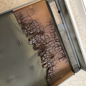 22F50404-C7CA-4FDB-AA86-090547756431_1_105_c