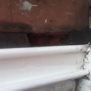 868C8A9D-326B-40AD-9964-04F9F14E5C20