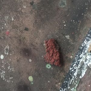 0B47DB81-65FF-4B10-B218-2AB63D310B17