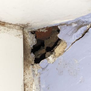 Hole, angle 1. The roof lining is lit up behind the brick but blurred.