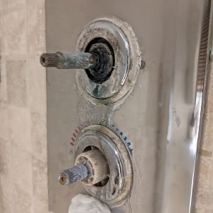 Shower-plate