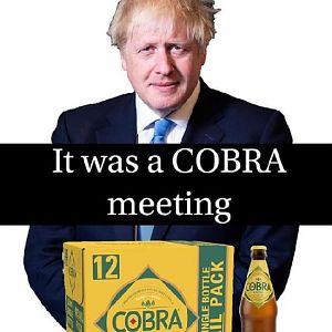 Cobra 2