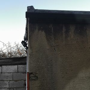 IMG_20220121_082640_copy_1843x2457_copy_921x1228